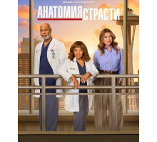 Анатомия страсти (22 сезон)