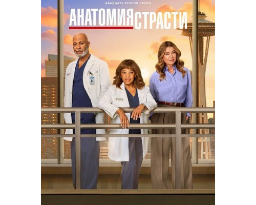 Анатомия страсти (22 сезон)  смотреть онлайн