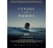 Сердце — это мышца
