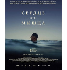 Сердце — это мышца