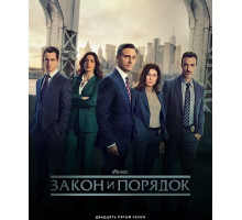 Закон и порядок (25 сезон)