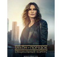 Закон и порядок. Специальный корпус (27 сезон)