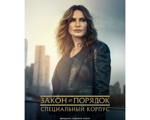 Закон и порядок. Специальный корпус (27 сезон)  смотреть онлайн